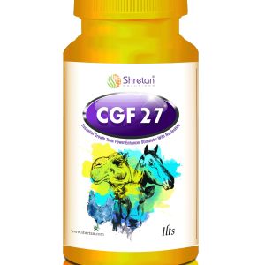 CGF 27