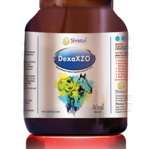 DexaXZO inj.